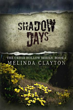 Cover of the book Shadow Days by Smoky Zeidel