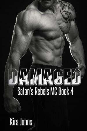 Cover of the book Damaged by Yvette Hines