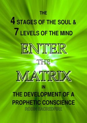 Cover of the book Enter the Matrix: The 4 Stages of the Soul and 7 Levels of the Mind in the Development of a Prophetic Conscience by Robin Sacredfire