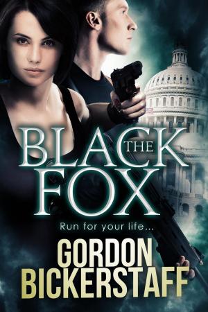 Book cover of The Black Fox