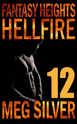Cover of the book Hellfire by Lisa Lorraine