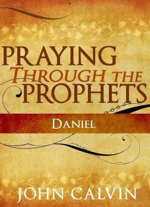 Book cover of Praying Through the Prophets: Daniel