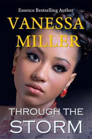 Book cover of Through the Storm