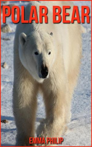 Book cover of Polar Bear