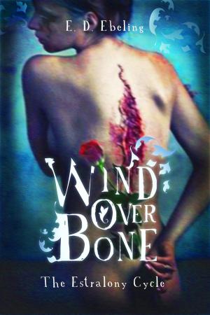 Cover of the book Wind Over Bone by Troim Kryzl