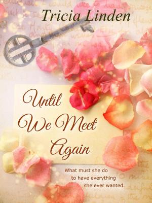 Book cover of Until We Meet Again