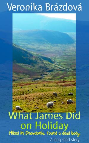 Cover of the book What James Did on Holiday by S. A. Hoag
