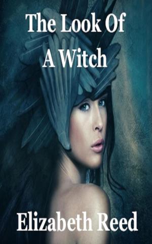 Cover of the book The Look of a Witch by Rachel Kovaciny