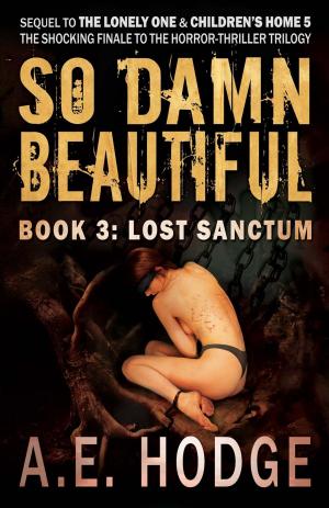Cover of So Damn Beautiful: Lost Sanctum (So Damn Beautiful, #3)