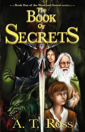 Cover of the book The Book of Secrets by Rick McQuiston