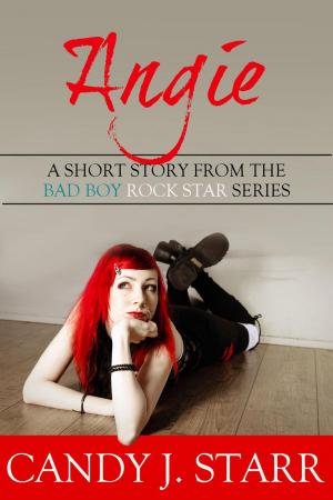 Book cover of Angie: A Short Story from the Bad Boy Rock Star Series