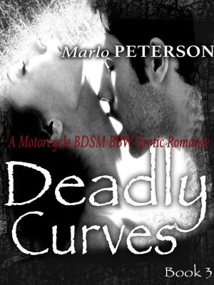 Book cover of Deadly Curves #3