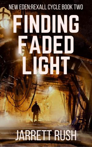 Cover of the book Finding Faded Light by Ben Finateri