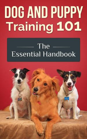 bigCover of the book Dog and Puppy Training 101 - The Essential Handbook: Dog Care and Health: Raising Well-Trained, Happy, and Loving Pets by 