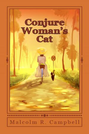 Cover of the book Conjure Woman's Cat by Jordan Marie