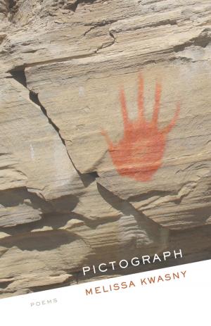 Cover of the book Pictograph by Jim Heynen