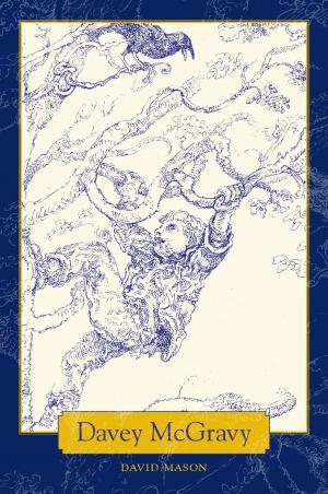 Cover of the book Davey McGravy by John M. Vine