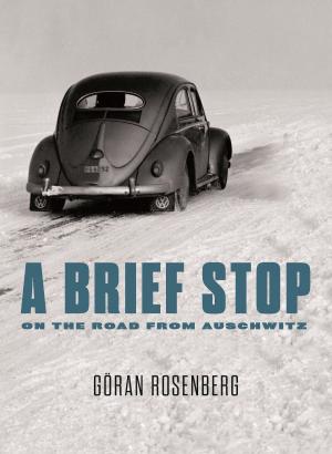 Cover of the book A Brief Stop On the Road From Auschwitz by Adam Kirsch