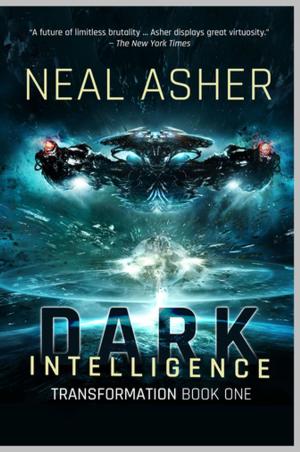 Cover of the book Dark Intelligence by J. M. McDermott