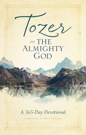 Cover of the book Tozer on the Almighty God by Paul Hutchens