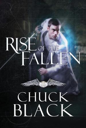 Cover of the book Rise of the Fallen by Damian Mogavero, Joseph D'Agnese