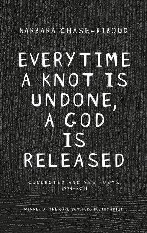 Cover of the book Everytime a Knot is Undone, a God is Released by Peter Plate