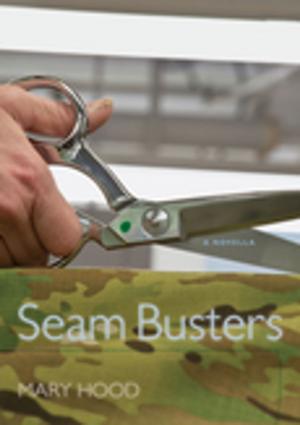bigCover of the book Seam Busters by 