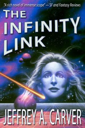 Cover of the book The Infinity Link by A. D. Adams
