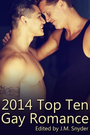 Book cover of 2014 Top Ten Gay Romance