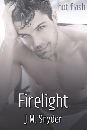 Cover of the book Firelight by J.M. Snyder