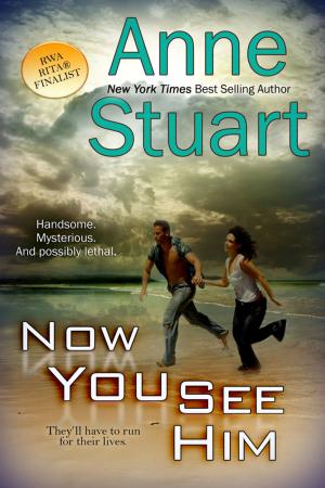 Cover of the book Now You See Him by Anne Stuart
