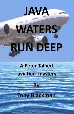 Cover of the book Java Waters Run Deep by Jacques Futrelle