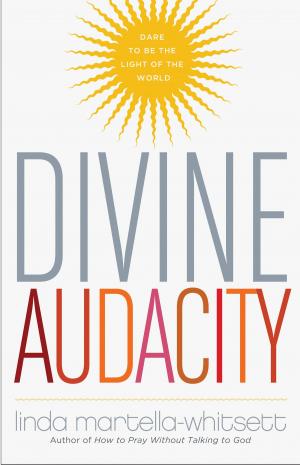 Book cover of Divine Audacity