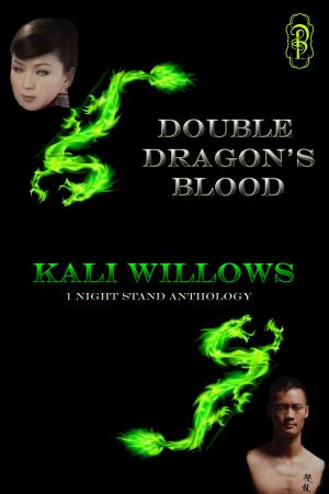 Cover of the book Double Dragon's Blood by Sascha Illyvich