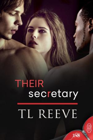Cover of the book Their Secretary by Tamara Hoffa