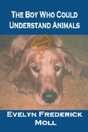 Cover of the book The Boy Who Could Understand Animals by Barbara Garro