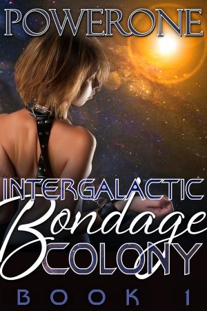 Book cover of Intergalactic Bondage Colony Book 1