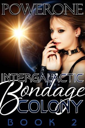 Book cover of INTERGALACTIC BONDAGE COLONY Book 2