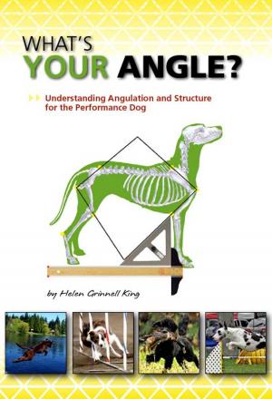 Book cover of WHAT'S YOUR ANGLE?