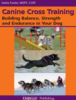 Cover of the book CANINE CROSS TRAINING by Dianna Stearns
