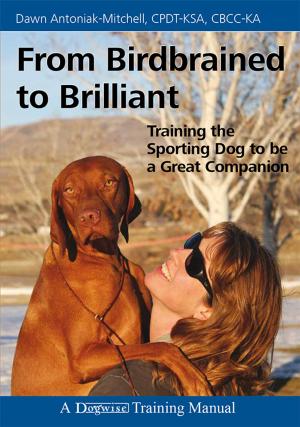 Cover of the book FROM BIRDBRAINED TO BRILLIANT by Dawn Antoniak-Mitchell