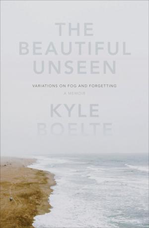 bigCover of the book The Beautiful Unseen: Variations on Fog and Forgetting by 