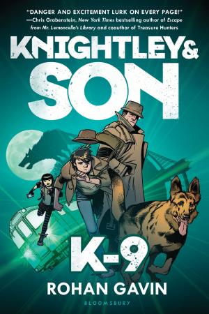 bigCover of the book K-9 by 
