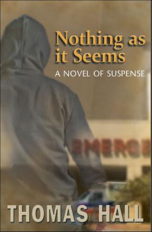 Cover of the book Nothing as it Seems “A Novel of Suspense” by Frank Caceres