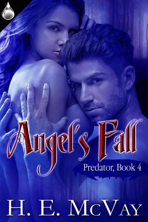 Cover of the book Angel's Fall by Holland Rae