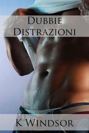 Cover of the book Dubbie Distrazioni by Sidonie Spice