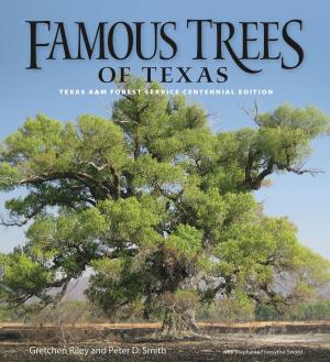 Cover of the book Famous Trees of Texas by Richard A. Davis Jr.