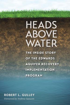 Cover of the book Heads above Water by Htay Win