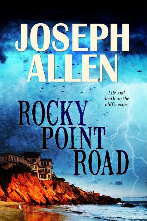 bigCover of the book Rocky Point Road by 