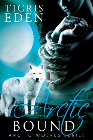 Cover of the book Arctic Bound by Nora Weaving